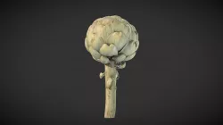 3D Scanned - Artischocke