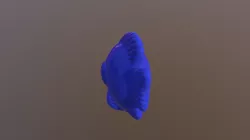 Ancient Fish
