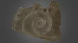 Architectural fragment