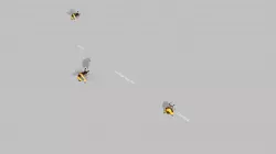 Bee Motions