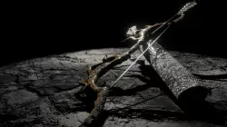 Bow and arrows