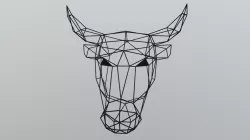 Bull2