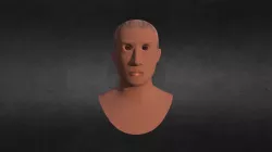 Busto