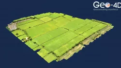 Central Area 3D