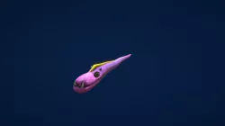 Dragon Eel