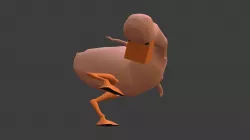 DUCK SCRATCH