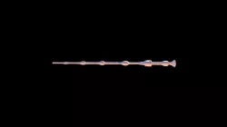 Elder Wand - V5
