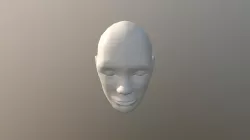 Face & Head Model