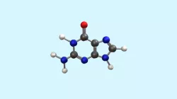 Guanine