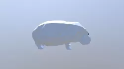 Hippo