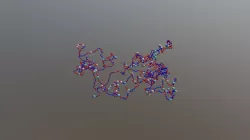 Initial 5