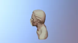 M D2 V1