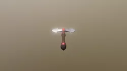 Machad