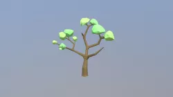 Mature Tree