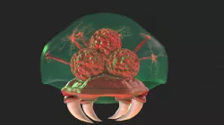 Metroid