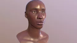 Model likeness bust