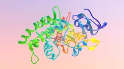 Model of Cytochrome P450 / Oxygen / Drug Complex