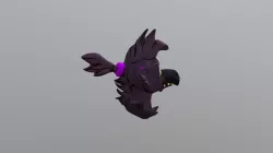 Raven headshot