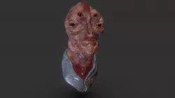 Seklidein