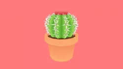 Succulent