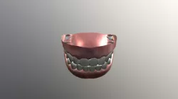 Teeth