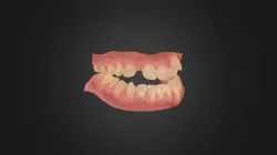 Teeth
