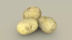 Three Potatoes