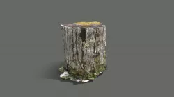 Tree Log Photogrammetry