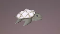 Turtle