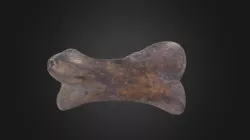 Vertebrate: Moa toe bone (PRI)