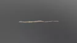BD