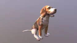 Beagle (Sitting)