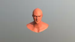 Busto