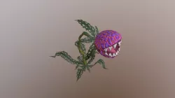 carnivorous plant