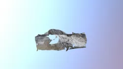 cave 1