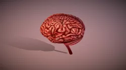 CERVELL