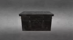 Chest