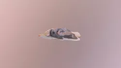 Clay Face Model