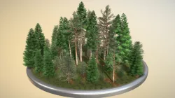 Coniferous Forest / Nadelwald - Kiefern Fichten