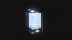 Dodo