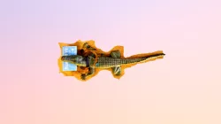 Gator
