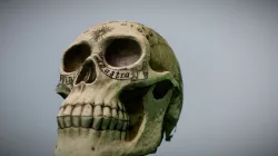 Gothic Skull V.2