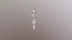 Human-skeleton and muscular