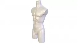 Mannequins torso 3d model
