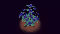 Plant Study : Hand-painted Closed Gentian