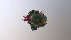 Reef World