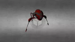 robrob