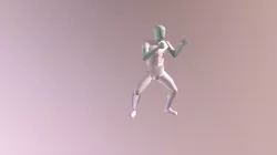 Roundhouse Kick