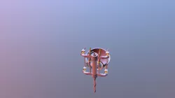Second Life - Prim Export - Duck Gizmo Drill