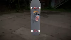 Skateboard